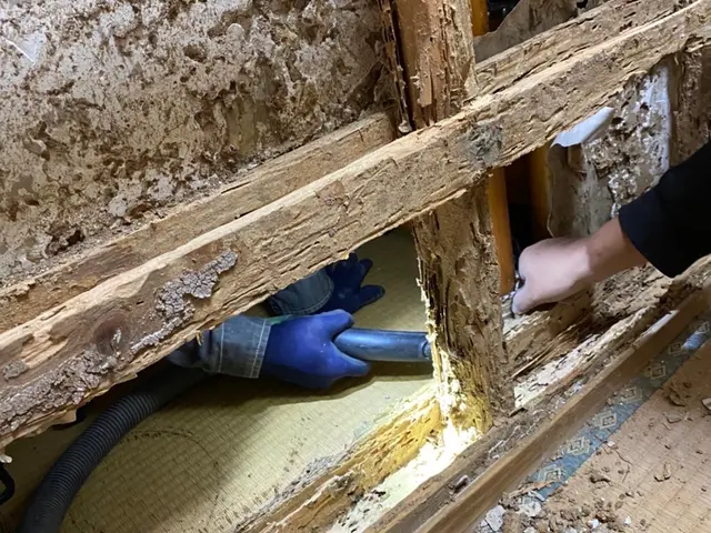 シロアリのことなら是非、当社にお任せください。迅速、丁寧に対応致します。サービスの画像