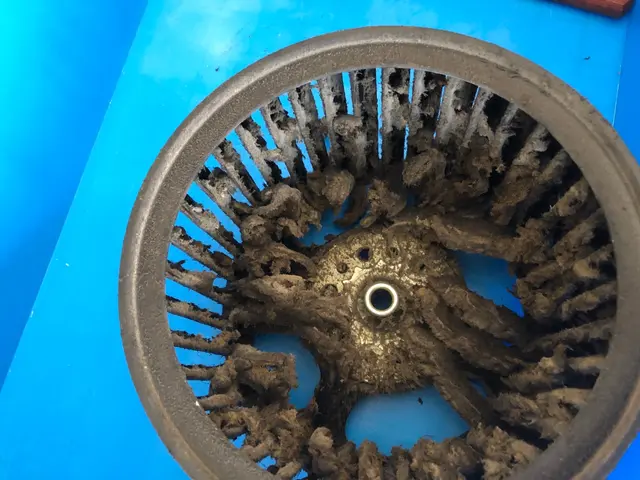 今がお得！19,800円→17,800円サービスの画像