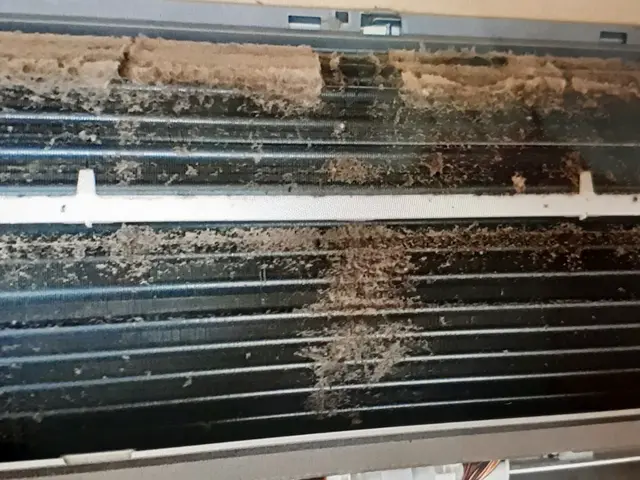 ◎只今 防カビ抗菌コート無料サービス中！サービスの画像