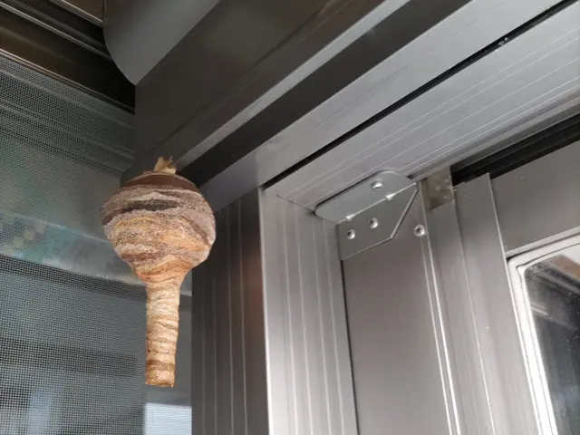 害虫駆除。害獣駆除。相談してください。サービスの画像