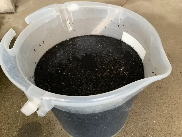 ★11月10日空き◎/複数台お得/お悩み解決/損害保険加入済/インボイス対応サービスの画像