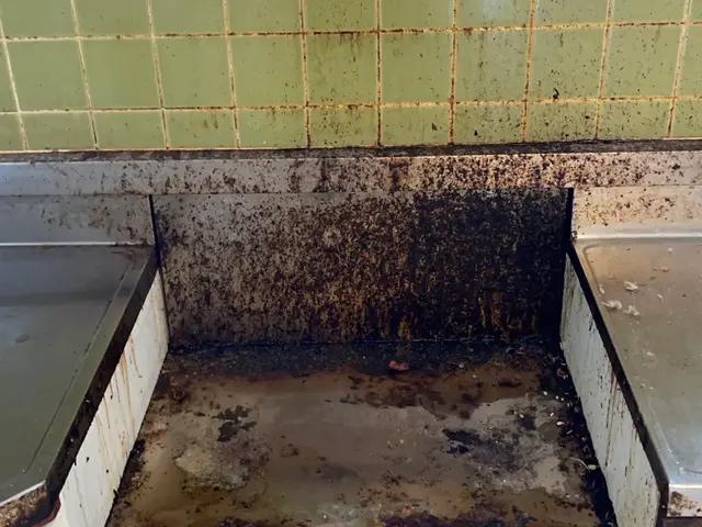 その油汚れ、お任せください！誰よりも早く、丁寧に仕上げます！サービスの画像