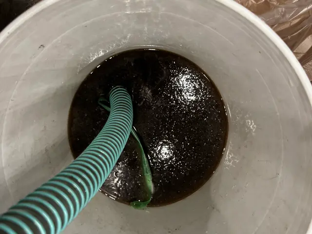 【当店のスタッフがお伺いします！】お気軽にご相談ください！！サービスの画像