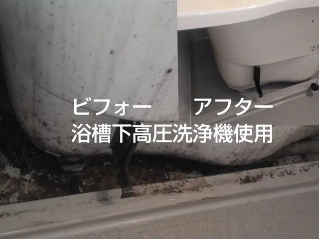 引越前後のマンション限定（空室）まるごとクリーニングサービスの画像