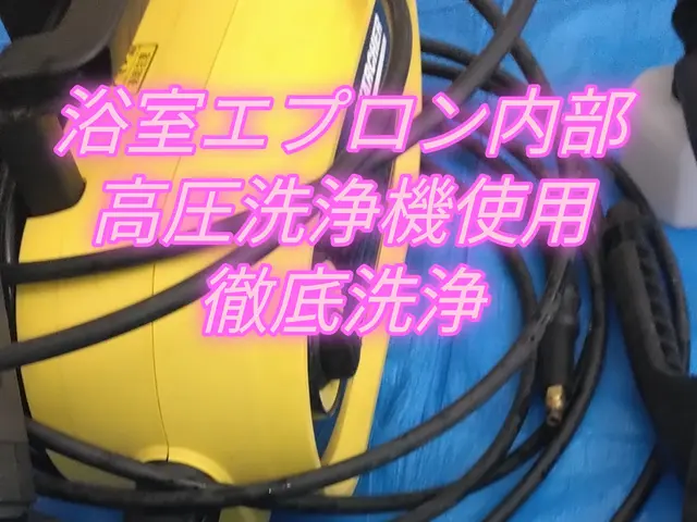 引越前後のマンション限定（空室）まるごとクリーニングサービスの画像