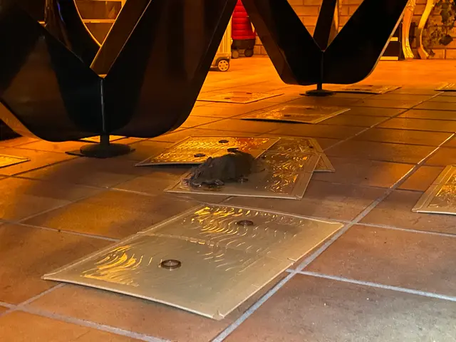 【本日可】ねずみ1匹の駆除・侵入口調査・自社スタッフがお伺いします！【損保加入】サービスの画像