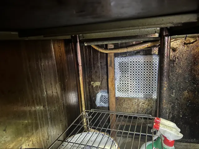 【本日可】ねずみ1匹の駆除・侵入口調査・自社スタッフがお伺いします！【損保加入】サービスの画像