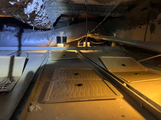 【本日可】ねずみ1匹の駆除・侵入口調査・自社スタッフがお伺いします！【損保加入】サービスの画像