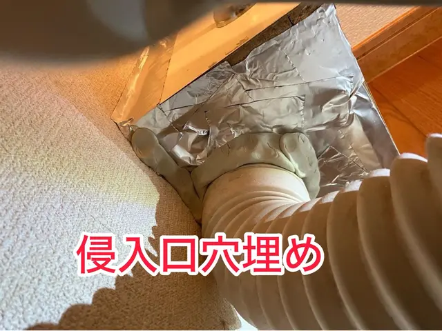 《害虫部門•金賞》侵入口穴埋め＋薬剤散布料金内！追加料金0★引越し前効果的★関西サービスの画像