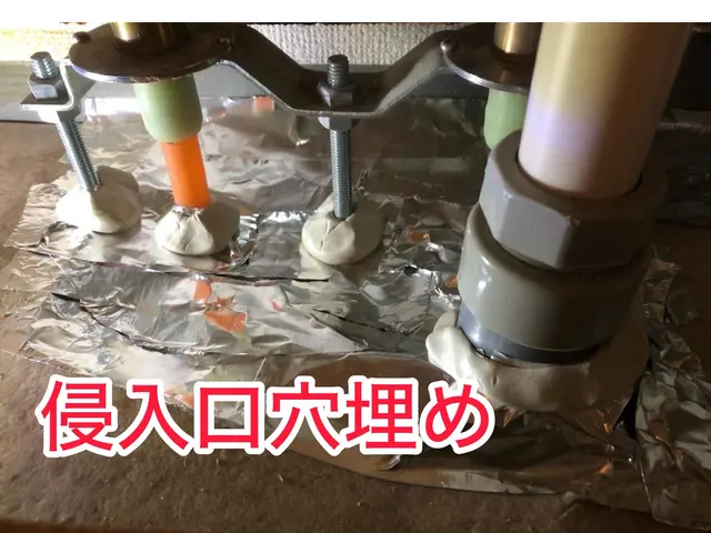 《害虫部門•金賞》侵入口穴埋め＋薬剤散布料金内！追加料金0★引越し前効果的★関西サービスの画像