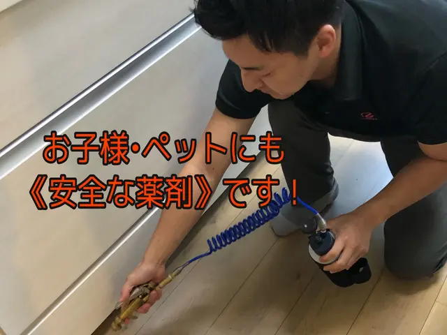 《害虫部門•金賞》侵入口穴埋め＋薬剤散布料金内！追加料金0★引越し前効果的★関西サービスの画像