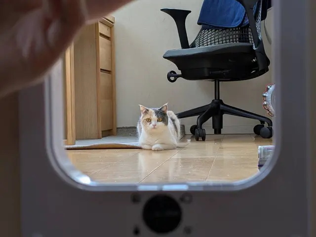 日程が合ったら即予約！当日予約や即日対応もご相談ください♪サービスの画像