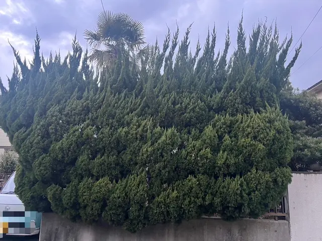 お客様のご希望に合わせて、丁寧に作業いたします。サービスの画像