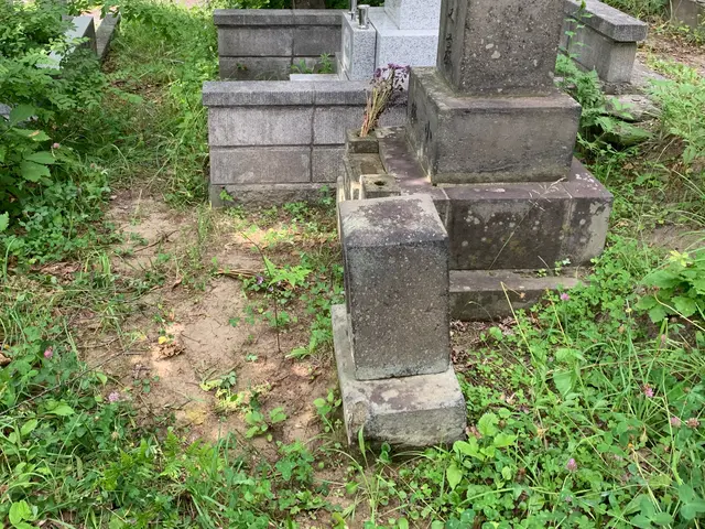 非対面OKの楽々依頼！無理せず大変な作業は全てお任せ！除草剤散布も料金込！サービスの画像