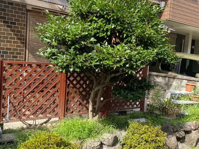 女性スタッフ同行可能！作業外注一切なし◎親切・丁寧に対応いたします。サービスの画像