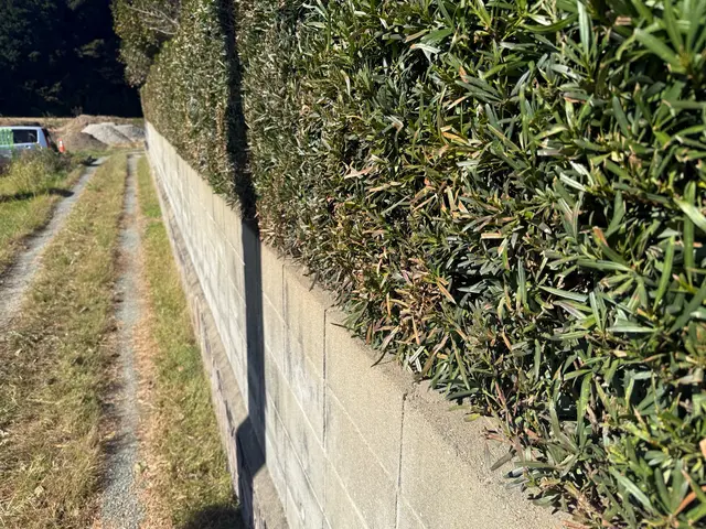 【6年の実績】お庭まるごとトータルコーディネート！営業時間外も相談OKサービスの画像