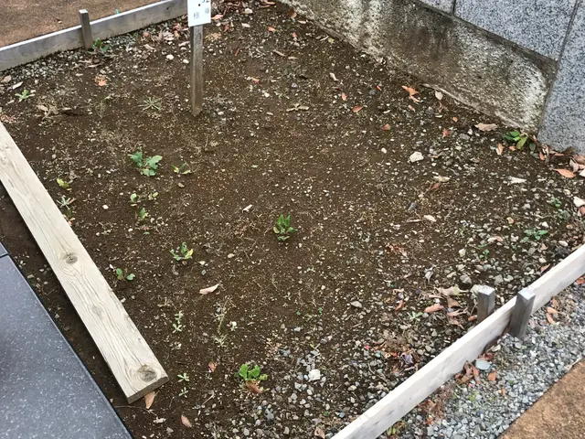 【地域密着店】豊富な経験と知識を活かして心を込めて作業いたしますサービスの画像