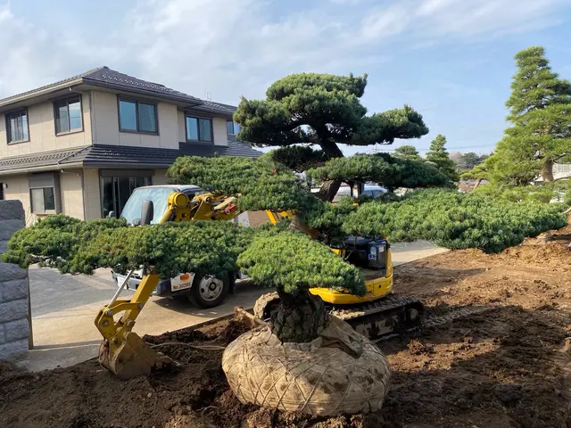 長年の経験を生かし自然の美しさを引き出しますサービスの画像