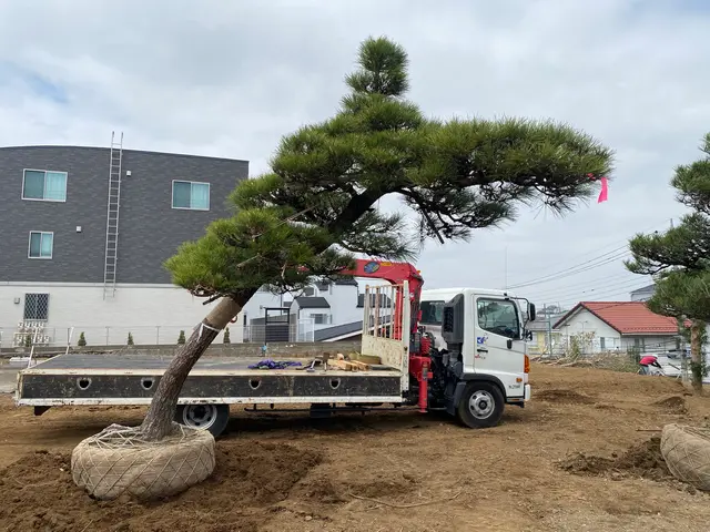 長年の経験を生かし自然の美しさを引き出しますサービスの画像