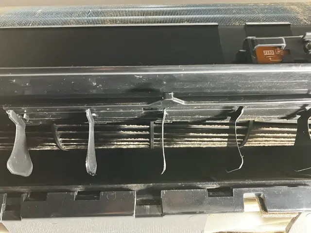 【店長訪問・2名体制】お客様目線の接客☆お子様・ペットも安心です◎即日相談可◎サービスの画像