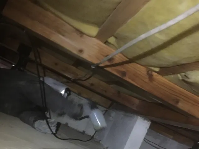 シロアリ駆除　薬剤散布　お任せください！サービスの画像