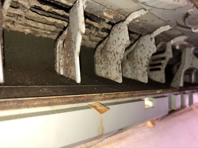 【防カビ・消臭除菌コート込み】★自然由来の洗剤使用★お子様・ご高齢・ペットも安心サービスの画像