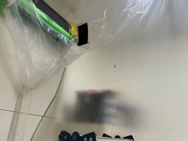 【防カビ・消臭除菌コート込み】★自然由来の洗剤使用★お子様・ご高齢・ペットも安心サービスの画像