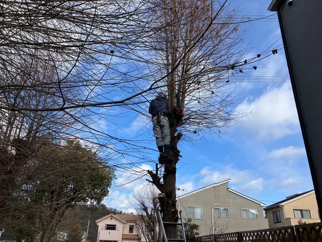 【１月６日～OK！】年間作業数300件のプロが伺います！オンラインカード可◎サービスの画像