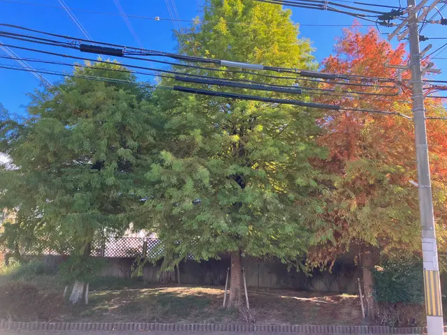 【１月６日～OK！】年間作業数300件のプロが伺います！オンラインカード可◎サービスの画像