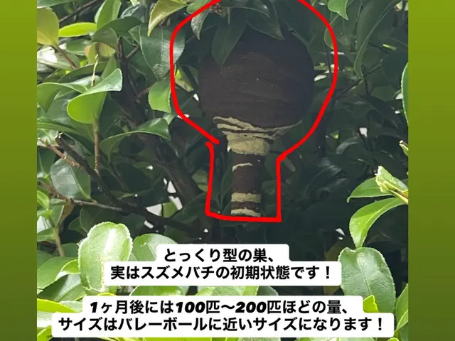 【地域最安値】【即日対応可能】【年中無休】＊駆除実績300件超えのプロが対応!サービスの画像