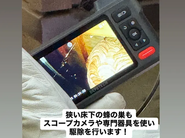 【地域最安値】【即日対応可能】【年中無休】＊駆除実績300件超えのプロが対応!サービスの画像
