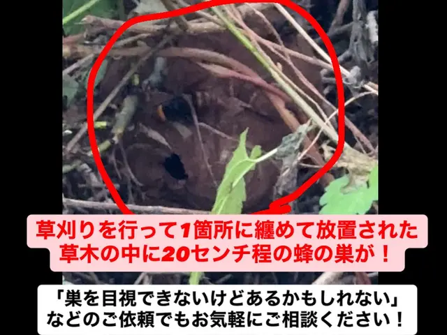 【地域最安値】【即日対応可能】【年中無休】＊駆除実績300件超えのプロが対応!サービスの画像