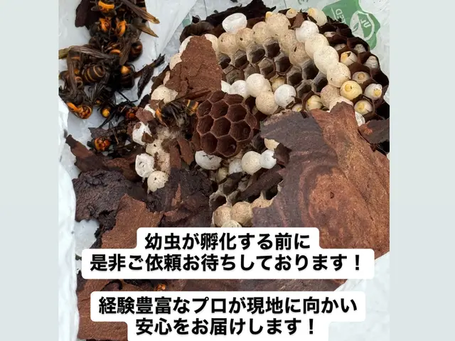【地域最安値】【即日対応可能】【年中無休】＊駆除実績300件超えのプロが対応!サービスの画像