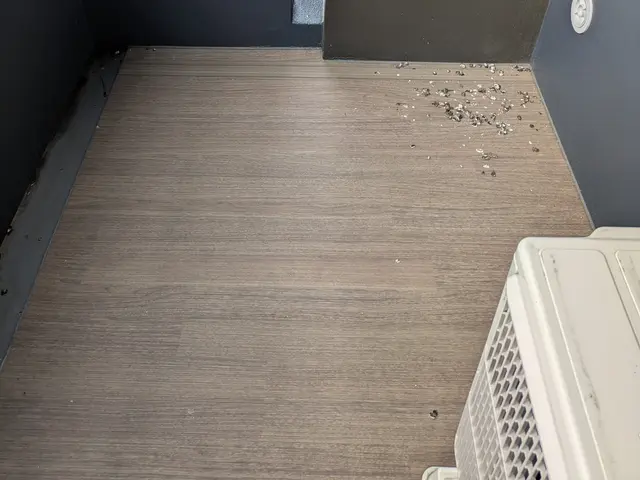 ✦床+壁+網戸+窓の外側まで洗浄して花粉や黄砂を洗い流します✧サービスの画像