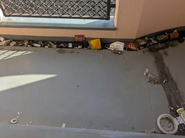 ✦床+壁+網戸+窓の外側まで洗浄して花粉や黄砂を洗い流します✧サービスの画像