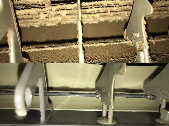 【カビ撃退】安心の洗剤使用、環境やさしいアルカリ電解水サービスの画像