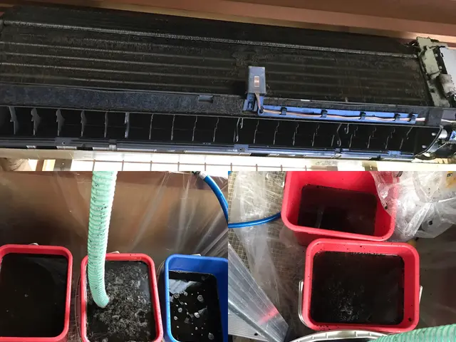 【カビ撃退】安心の洗剤使用、環境やさしいアルカリ電解水サービスの画像