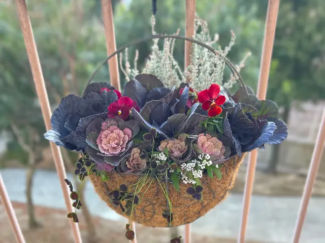 好きなお花を一緒に選んで植え付けします！(花壇orコンテナガーデン・寄せ植え)サービスの画像