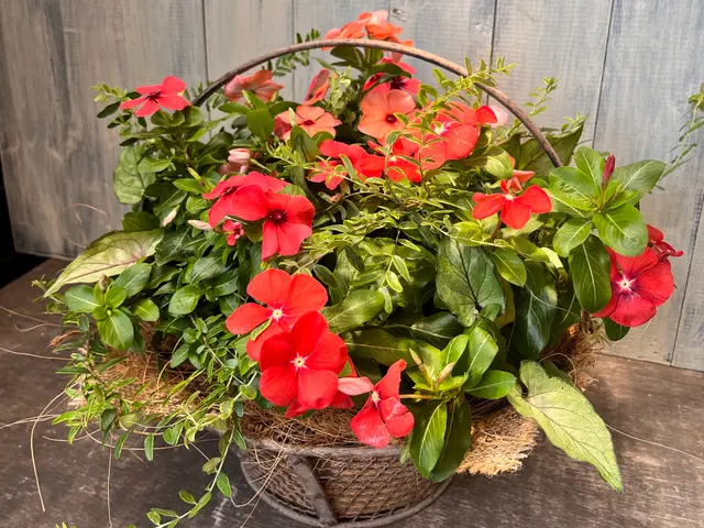 好きなお花を一緒に選んで植え付けします！(花壇orコンテナガーデン・寄せ植え)サービスの画像