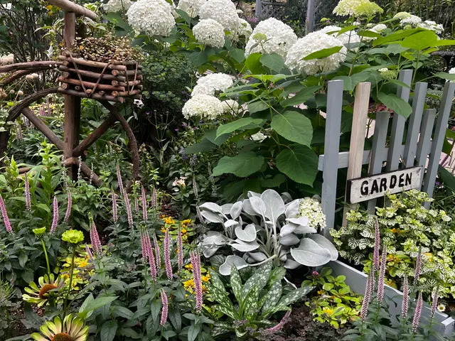 好きなお花を一緒に選んで植え付けします！(花壇orコンテナガーデン・寄せ植え)サービスの画像