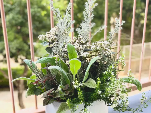 好きなお花を一緒に選んで植え付けします！(花壇orコンテナガーデン・寄せ植え)サービスの画像