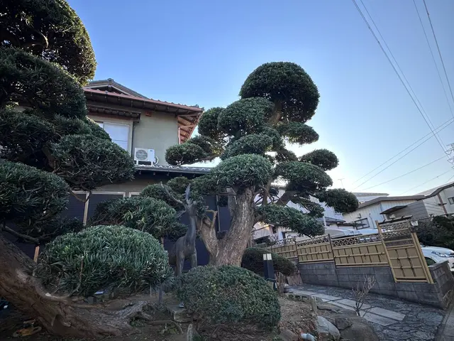 《年中無休》八街市から伺います◆豊富な経験と知識で安心！サービスの画像