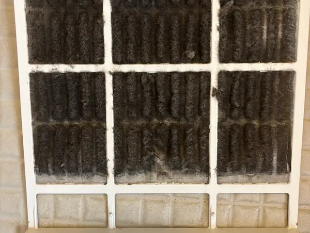 【2月26日出店】プロの技術でご満足いただけるように心を込めて作業いたしますサービスの画像