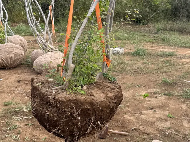 お客様のお力になります！経験と知識を活かして迅速丁寧に作業いたしますサービスの画像