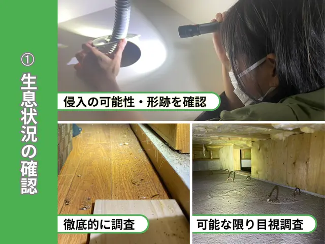 ◆即翌日可◆安心の実績数！水回り封鎖込！限りなく侵入させない環境づくりのお手伝いサービスの画像