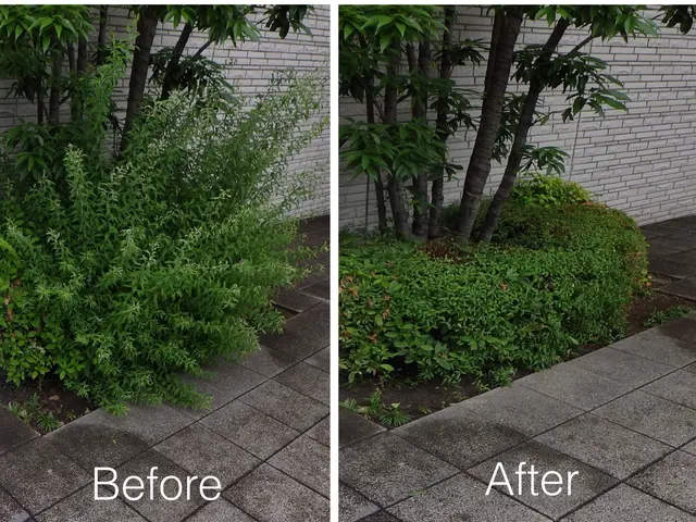 【4月中お値引き有り】技術に自信有り4/15㈬18㈯19㈰21㈫25㈯←対象日サービスの画像