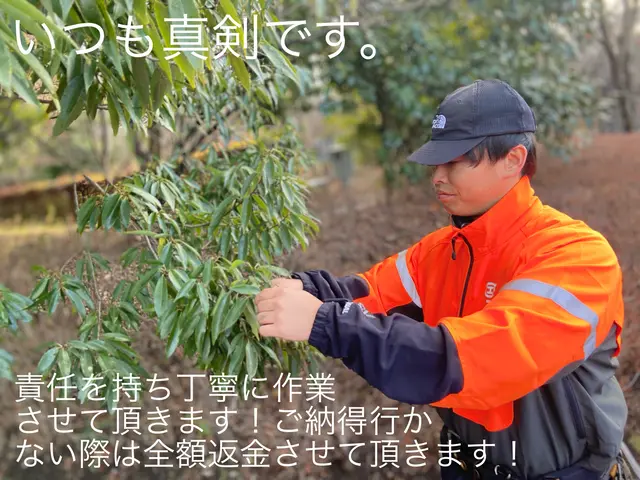 【4月中お値引き有り】技術に自信有り4/15㈬18㈯19㈰21㈫25㈯←対象日サービスの画像