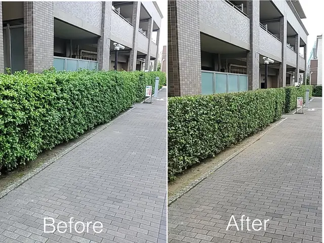 【4月中お値引き有り】技術に自信有り4/15㈬18㈯19㈰21㈫25㈯←対象日サービスの画像