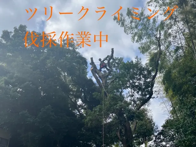2年連続入賞・造園、伐採業《リョクケイ》・高木大径木も対応可・複数割サービスの画像