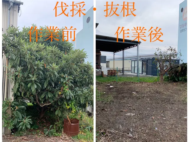 2年連続入賞・造園、伐採業《リョクケイ》・高木大径木も対応可・複数割サービスの画像